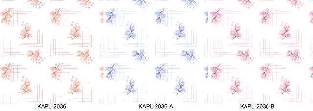 KAPL 2036.jpg