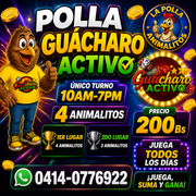 polla guacharo