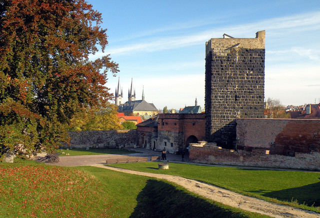 wdsf348.jpg