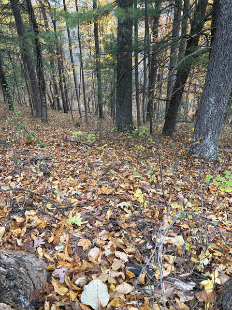 IMG-8077