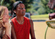 33Untitled 3.gif
