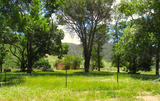 IMG 0056.jpg