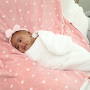 IMG-0630