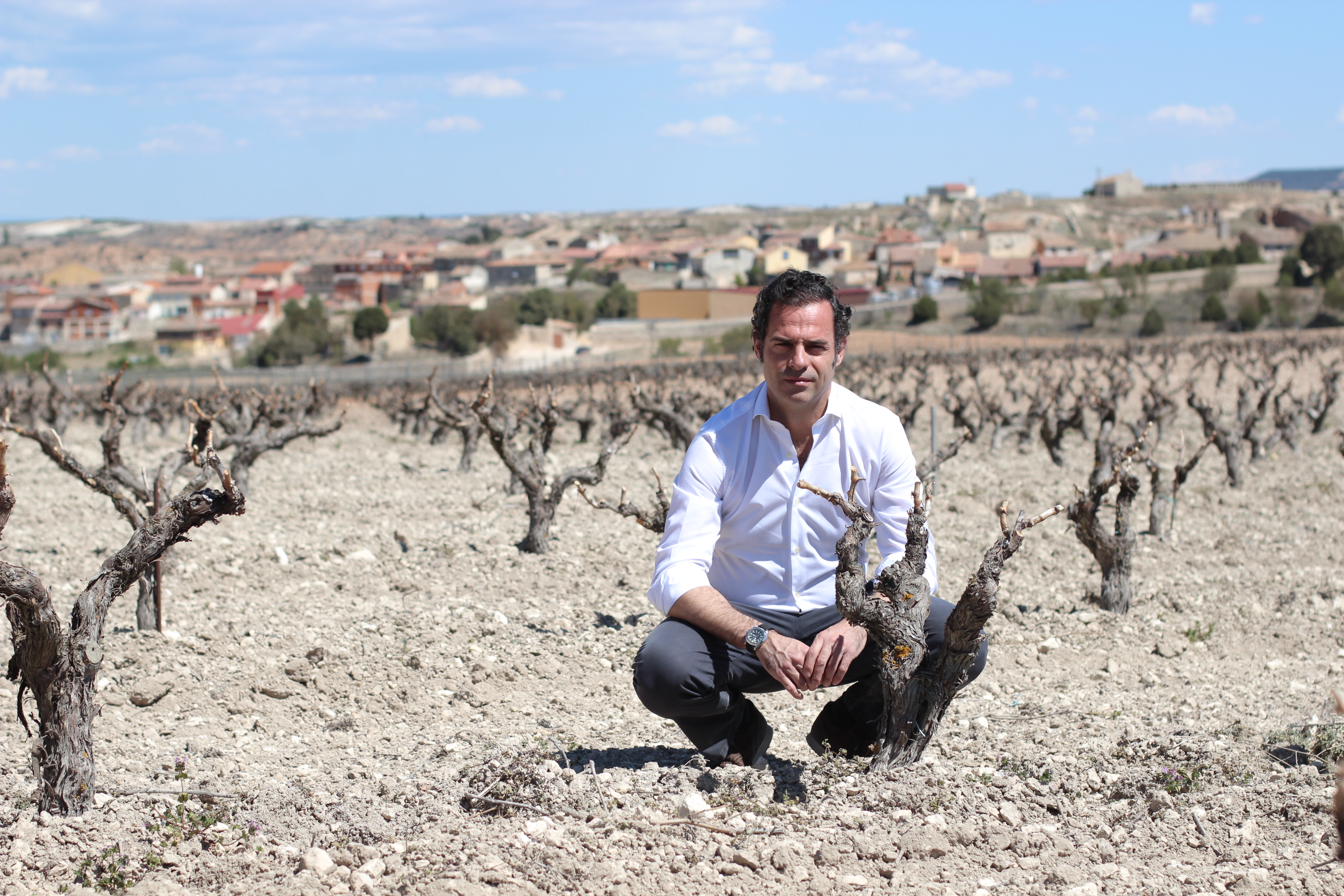 Vignoble Valdrinal, 2017