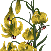 fedbb3dfb290a2c67d32da73a7ac9d8c