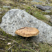 IMG 5765