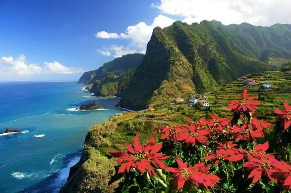 Madeira, destinația de vis în croaziera noastră