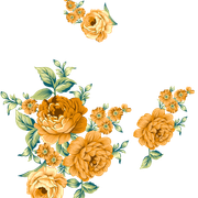 6e014bb7aa8ff9a116c15e19c74a03c3