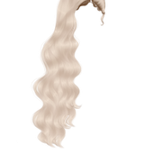 13556