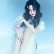 joy red velvet 1333006