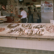 IMG0029
