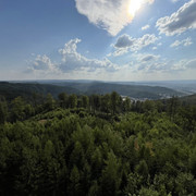 comp IMG 6634