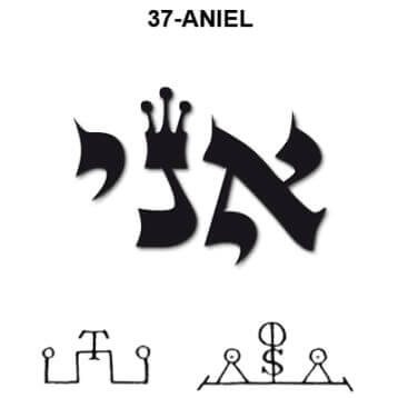 37 aniel thumb.jpg