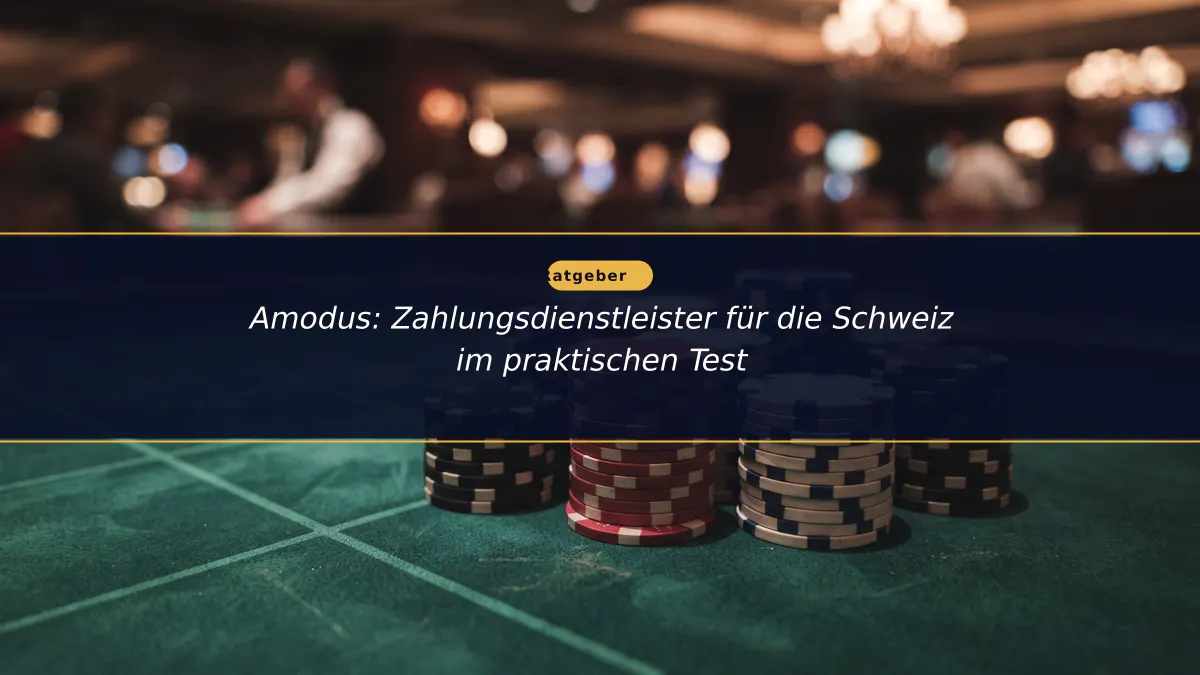 Amodus: Zahlungsdienstleister für die Schweiz im praktischen Test