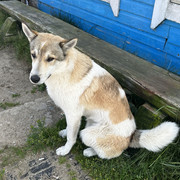 IMG 5372
