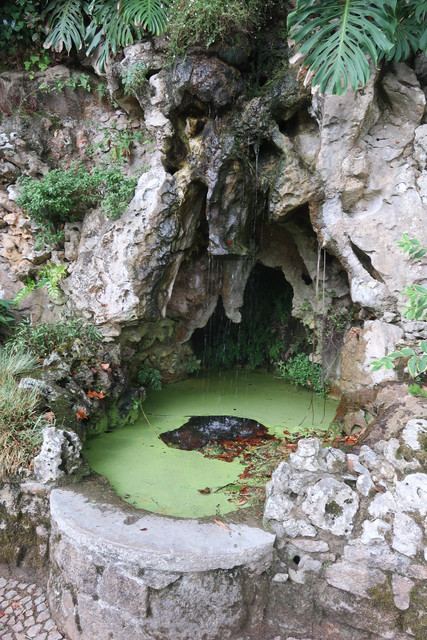Quinta.jpg