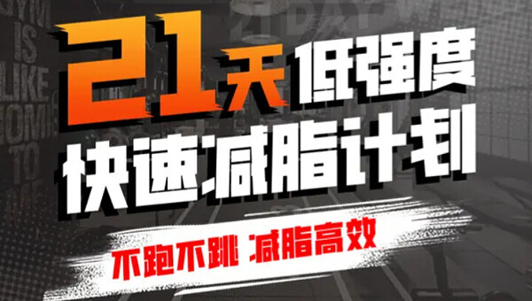 猫叔21天低强度无跑跳减脂，简单实用居家跟练