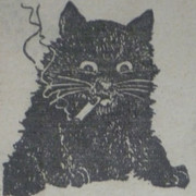 IMG 0284
