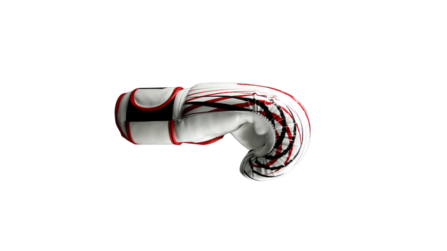 Right Glove