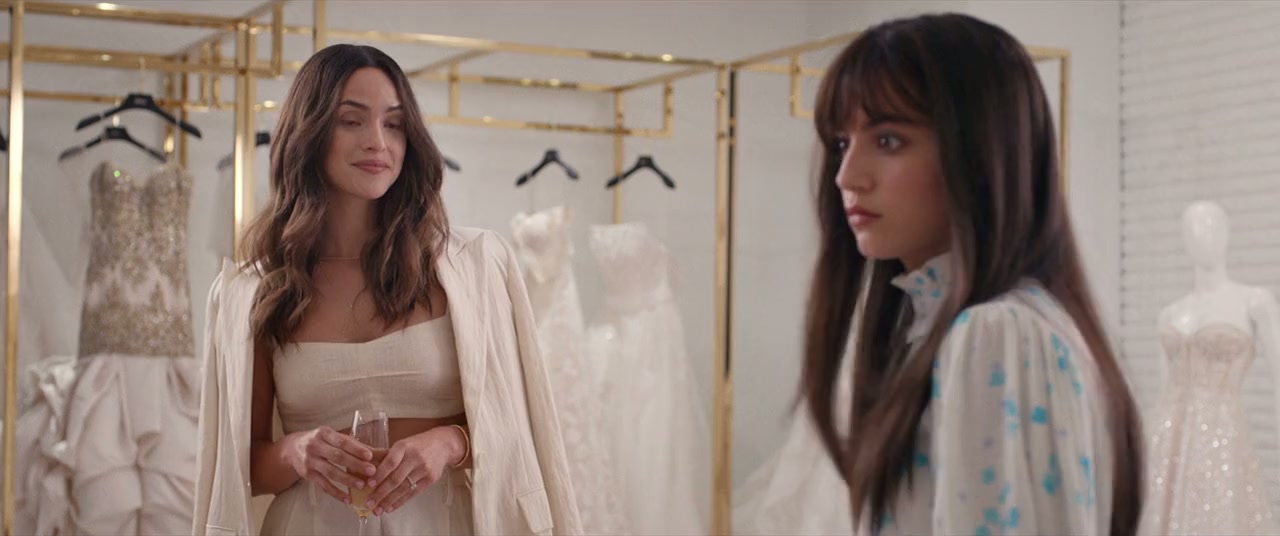 Father of the Bride Screenshot