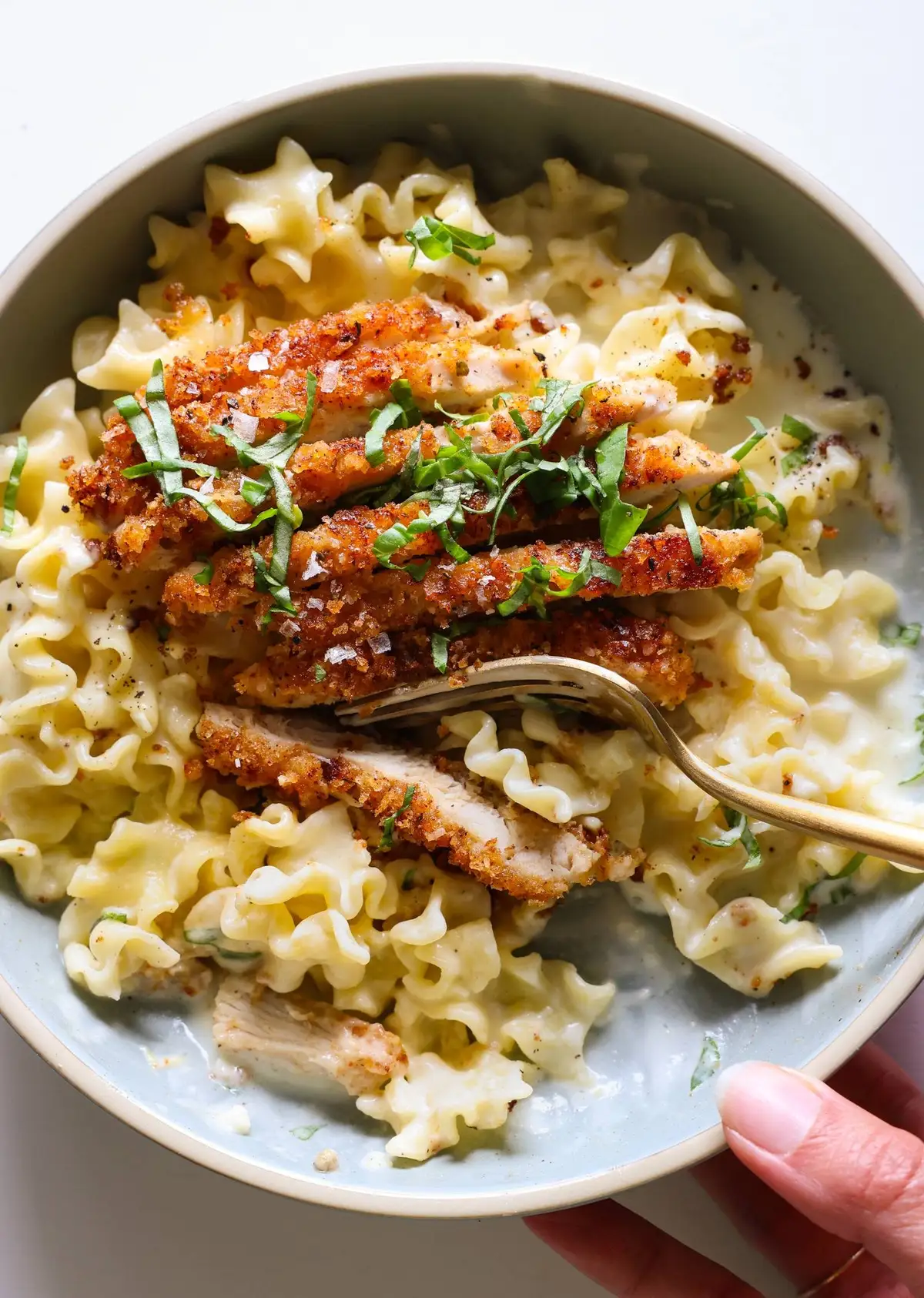 Crispy Parmesan Chicken with Creamy Lemon Pasta: A Culinary Revelation