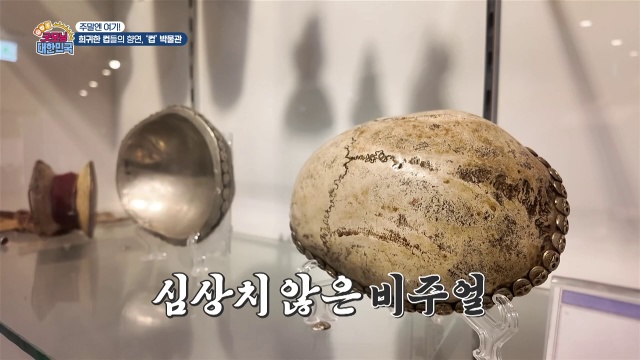 굿모닝대한민국 컵박물관 캡처
