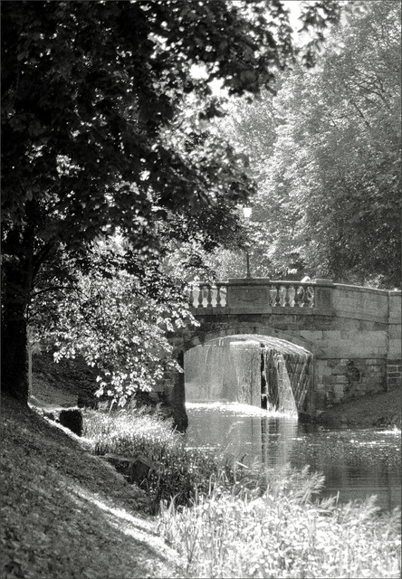 IMGP9106bw.jpg