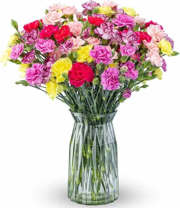Elegant Spring Mini Carnation Bouquet with Glass Vase
