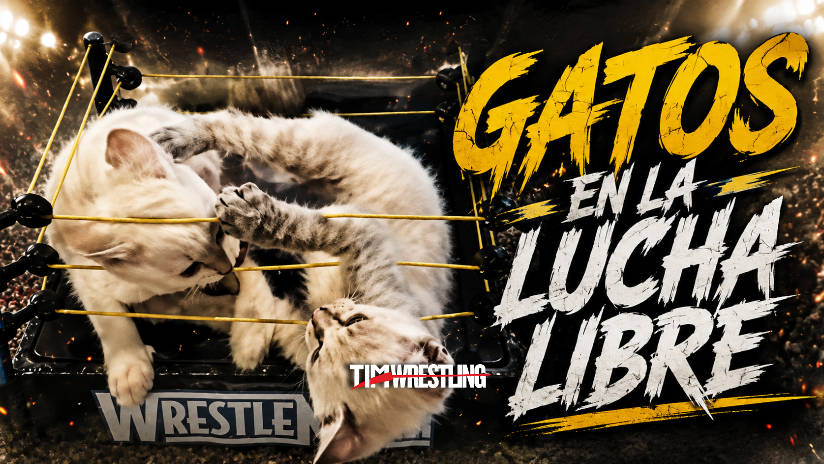 Los gatos de la lucha libre