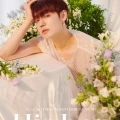 chan a c e 1176367
