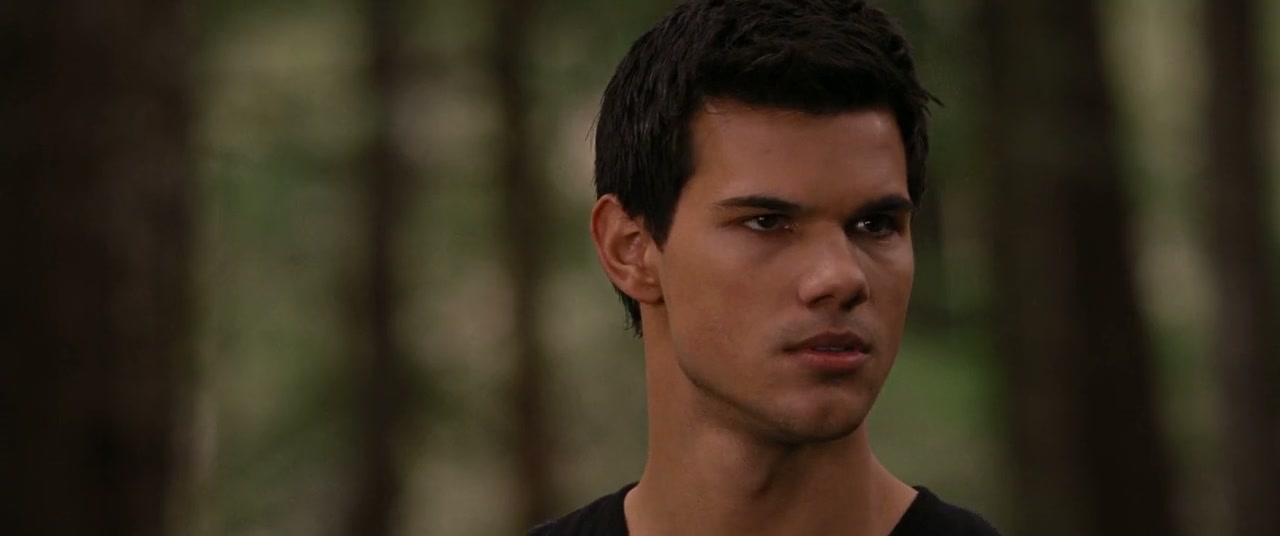 The Twilight Saga: Breaking Dawn - Part 1 Screenshot