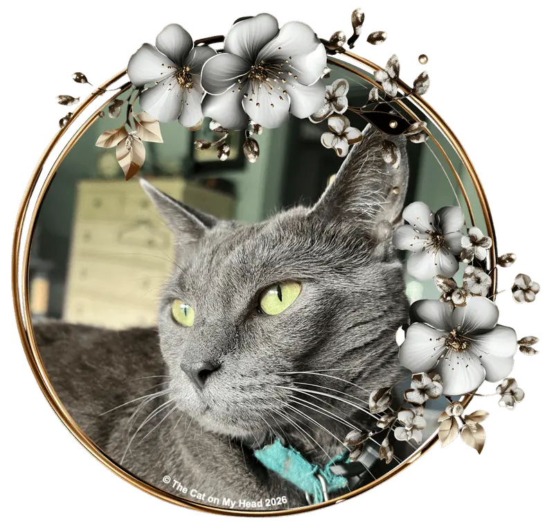 Beloved Feline Model Makes Triumphant Return