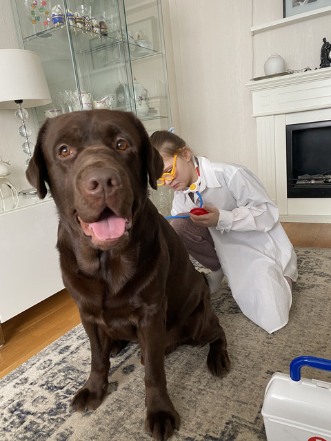 7-F871-B3-F-AADA-4779-92-AF-C5608-F46-D0