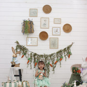 IMG-6641