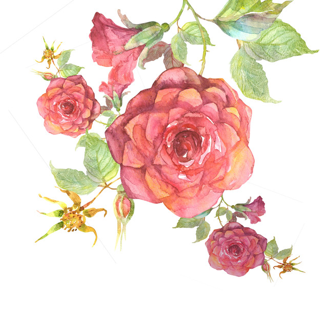 shutterstock 287807783.jpg