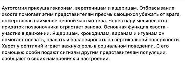https://i.ibb.co/WWxw97rL/IMG-2289.jpg