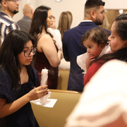 IMG 7050