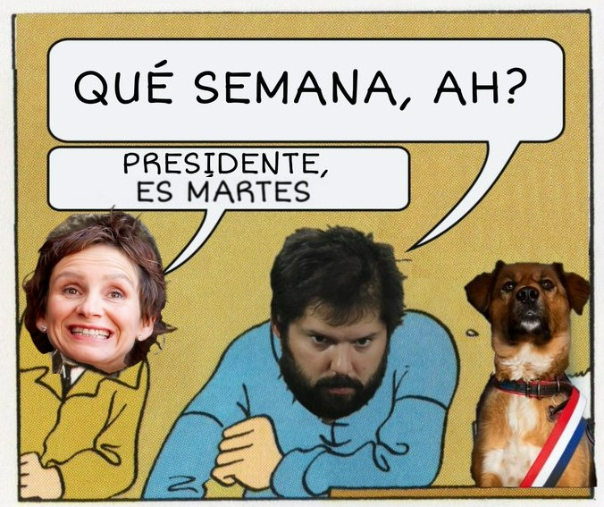 es-martes-toha.png