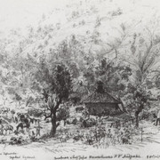Римская крепость в Семендрии 1876