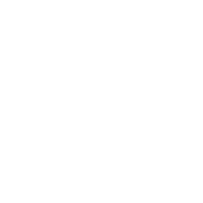 regular expression white 184x184.png