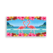 703976-Flamingos-Ana
