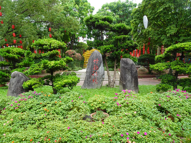 DSC00228.jpg