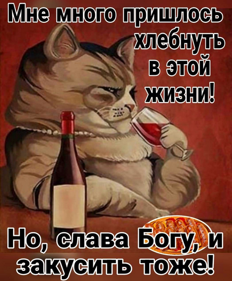 https://i.ibb.co/WbvfWvZ/image.png