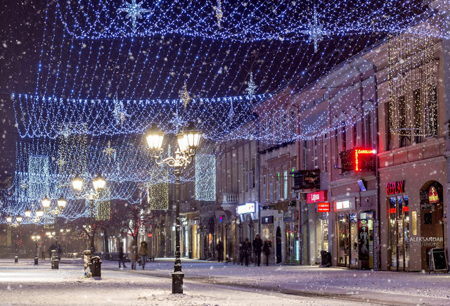 novisad