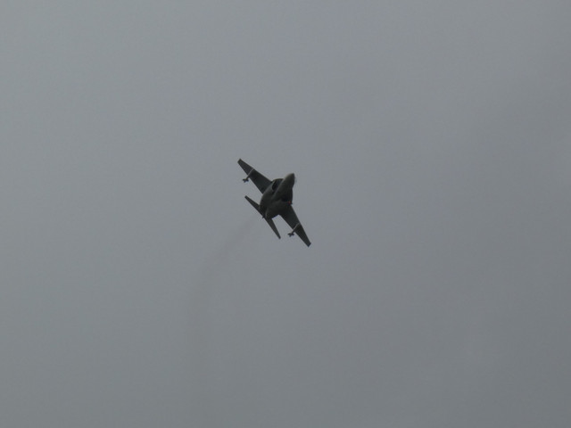 P1010183-2.jpg
