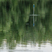 pole