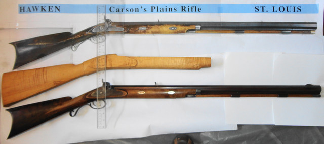 Tiger Hunt Stock