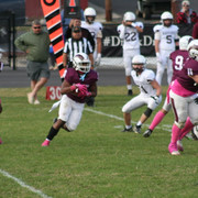 IMG-0459