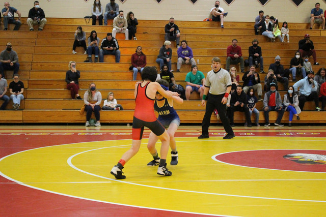 IMG-0232
