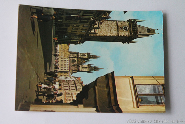 IMG-6513.jpg